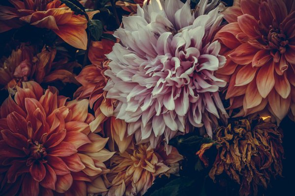 Welche Trends beeinflussen aktuell den Immobilienmarkt?